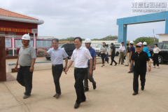新闻资讯  /  公司动态_利来集团官网有限公司-衡宇修建工程总承包|全装修品牌向导者|国家住宅工业化基地